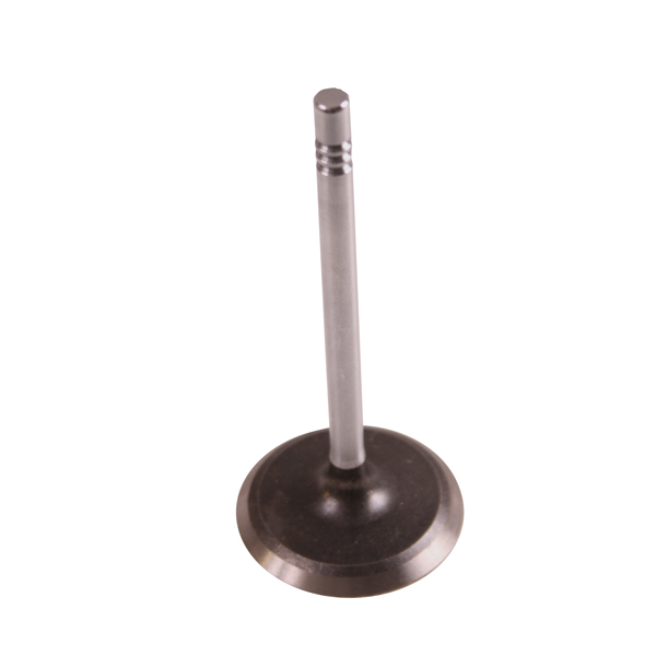 Engine Exhaust Valve